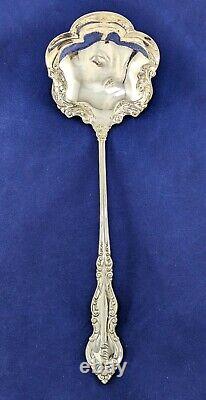 International WARWICK 1898 Sterling Silver Ladle 10, Monogrammed