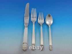 Northern Lights by International Sterling Silver Flatware Set Service 30 pieces