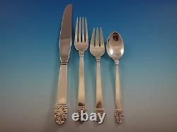 Northern Lights by International Sterling Silver Flatware Set Service 48 pieces