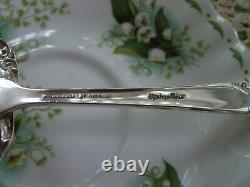 Sterling Silver Tea Strainer INTERNATIONAL STERLING SPRING GLORY Pattern