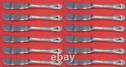 Gloire du printemps par International Sterling Silver Butter Spreader HH Paddle Set 12 pièces