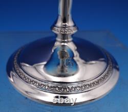 Wedgwood par International Argent Sterling Coupe à Sherbet #P100 4 1/2 (#8097)